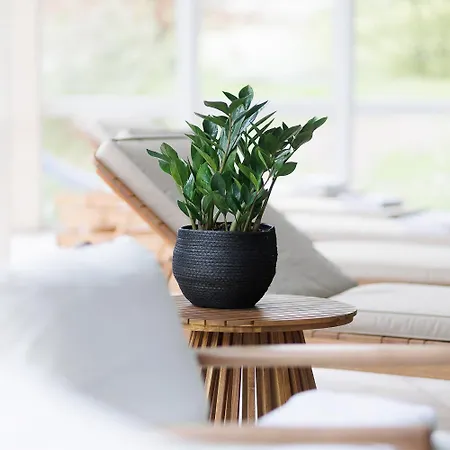 Hotel Boutiquehotel Ochsen 3*