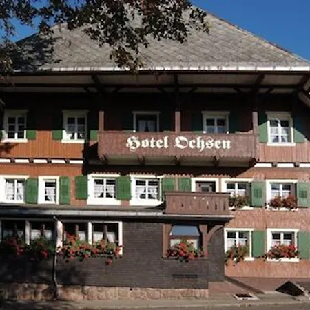 Boutiquehotel Ochsen ホテル 3*