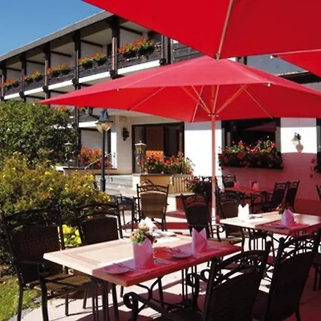 ホテル Boutiquehotel Ochsen