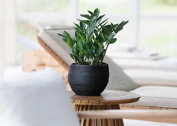 ホテル Boutiquehotel Ochsen 3*