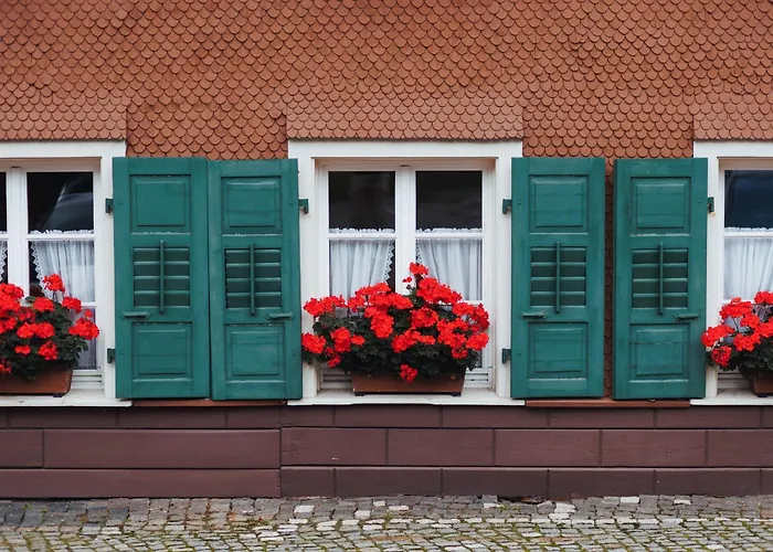 Boutiquehotel Ochsen 3* Lenzkirch