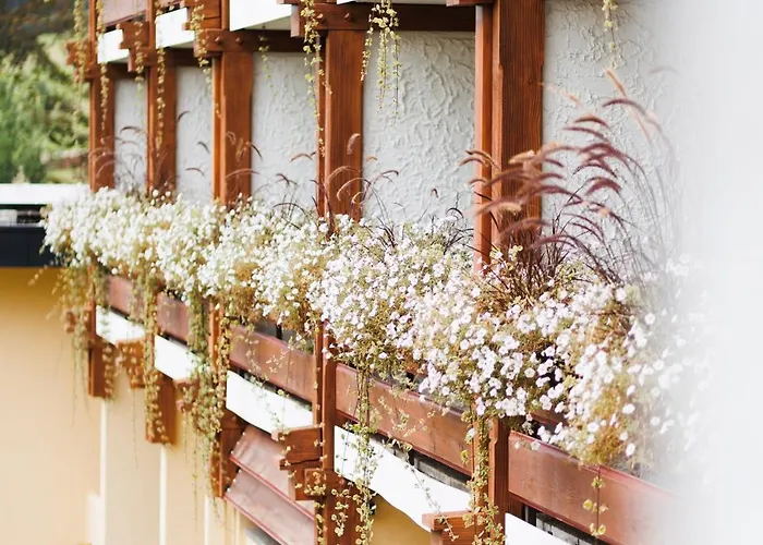 Boutiquehotel Ochsen