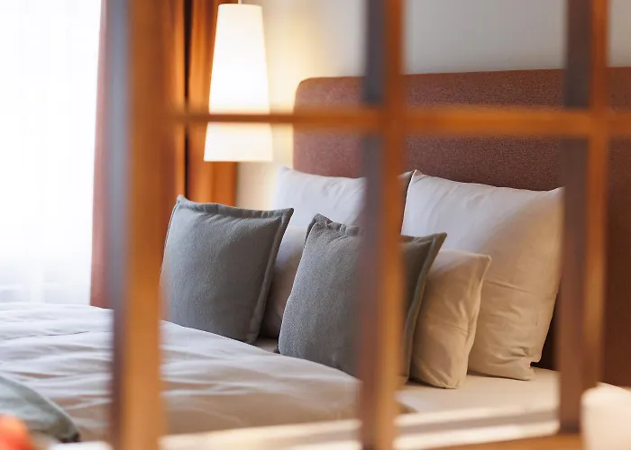 Boutiquehotel Ochsen ホテル 3*